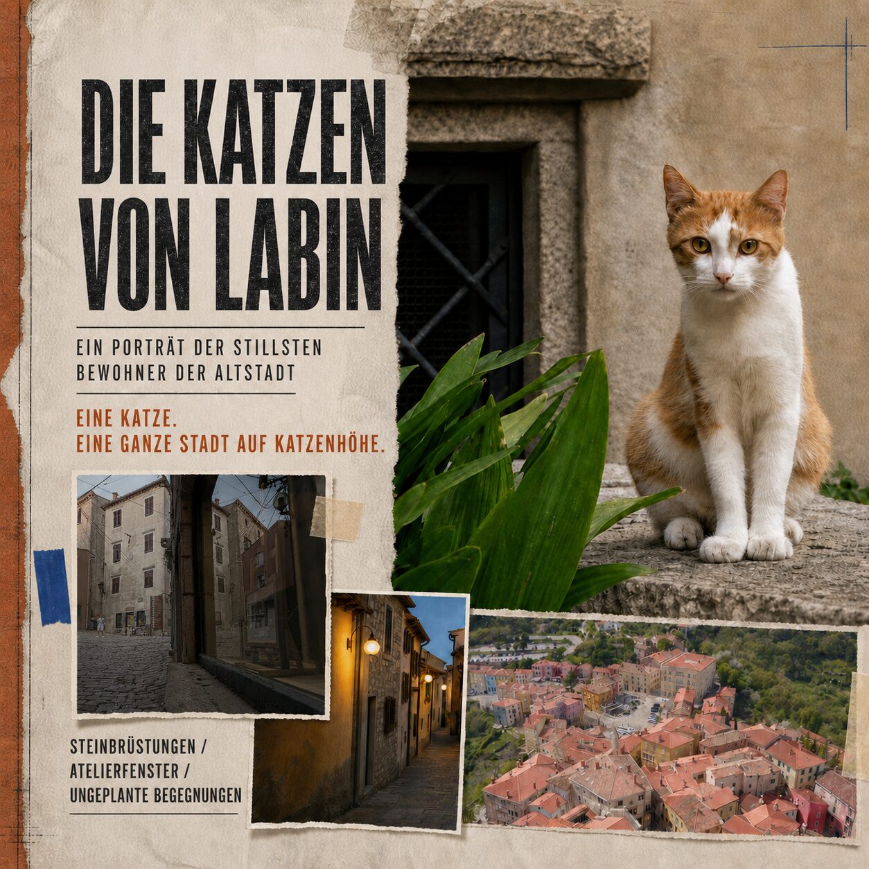 Die Katzen von Labin Labin header image