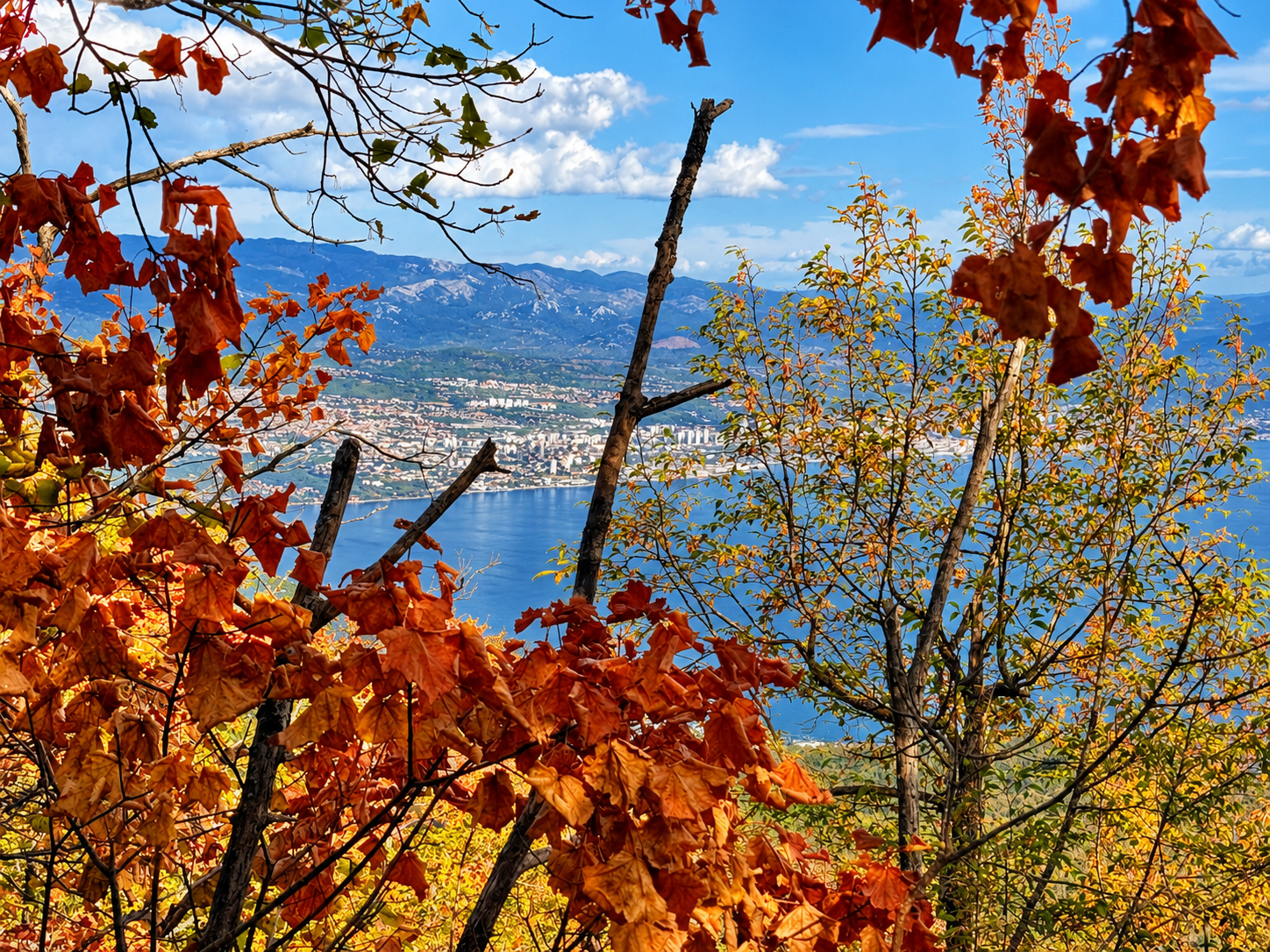 Kvarner seen through autumn-coloured leaves on Učka Kvarner seen through autumn-coloured leaves on Učka